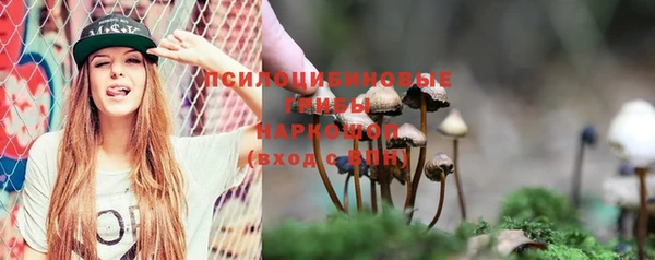 кокс Абдулино