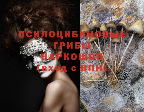 кокс Абдулино