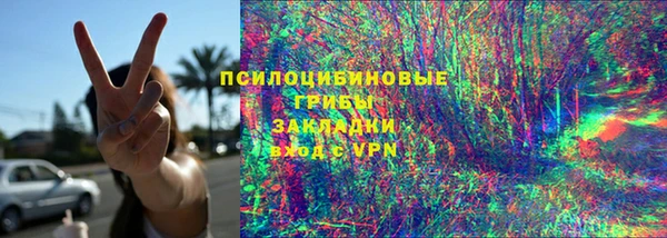 гашик Алексеевка