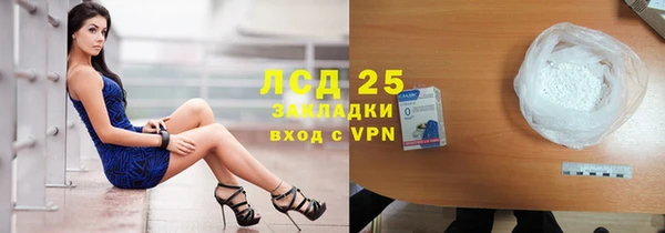 стаф Абинск