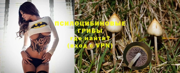 ГАЛЛЮЦИНОГЕННЫЕ ГРИБЫ Абаза