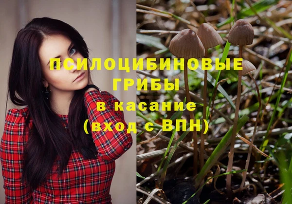 ГАЛЛЮЦИНОГЕННЫЕ ГРИБЫ Абаза