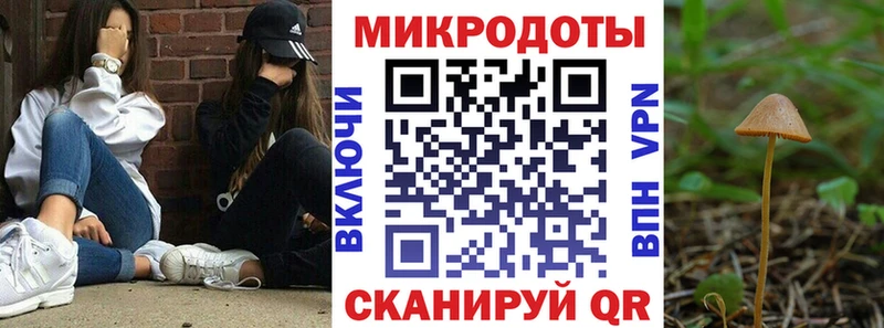 Псилоцибиновые грибы прущие грибы  где купить наркотик  Сочи 